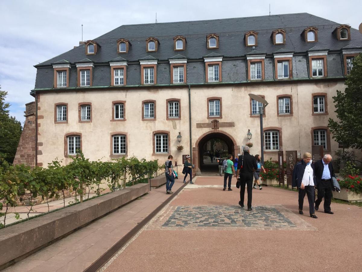 Maison Independante De Montagne En Alsace Bellefosse Exteriör bild