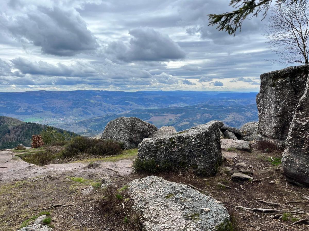 Maison Independante De Montagne En Alsace Bellefosse Exteriör bild