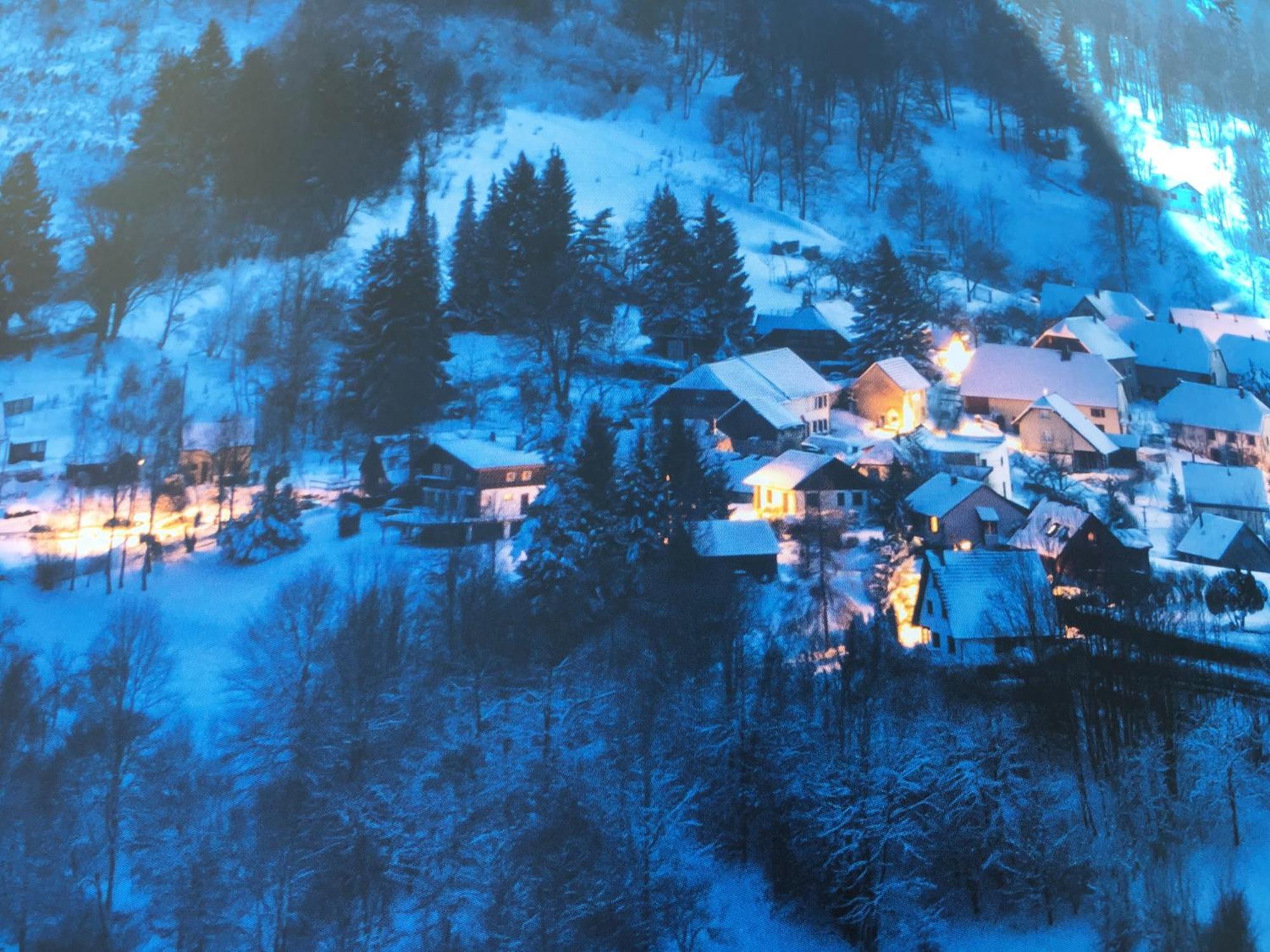 Maison Independante De Montagne En Alsace Bellefosse Exteriör bild