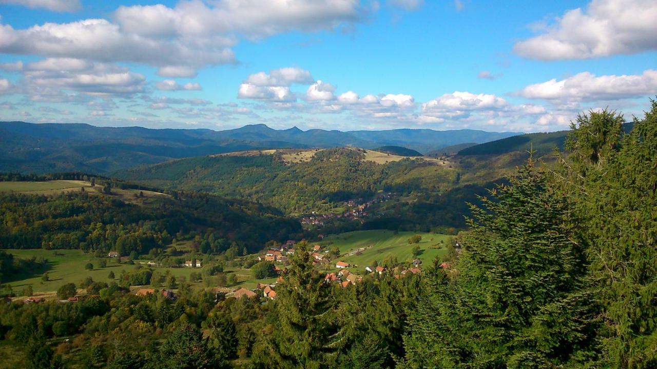 Maison Independante De Montagne En Alsace Bellefosse Exteriör bild