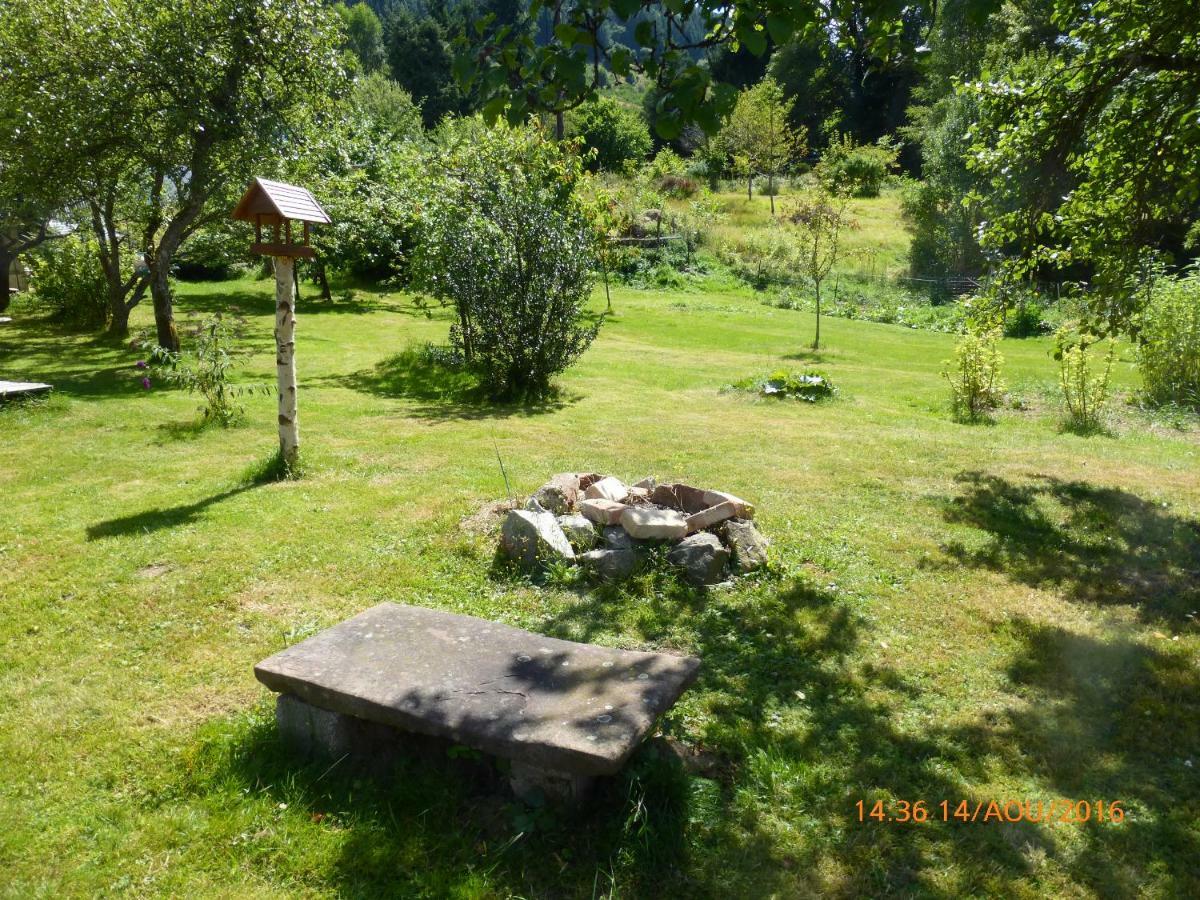 Maison Independante De Montagne En Alsace Bellefosse Exteriör bild